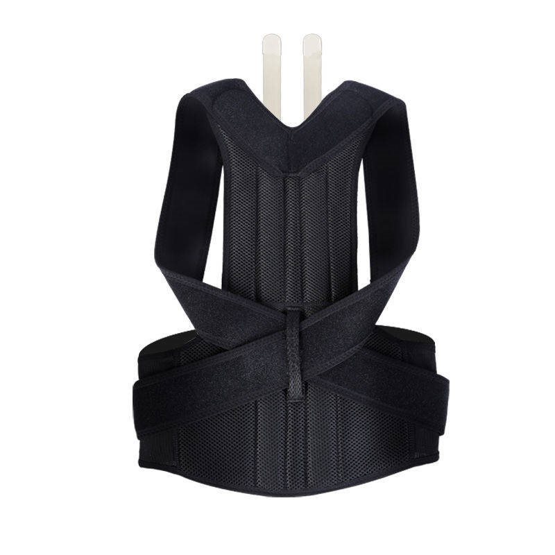 BackAlign Spine Posture Corrector