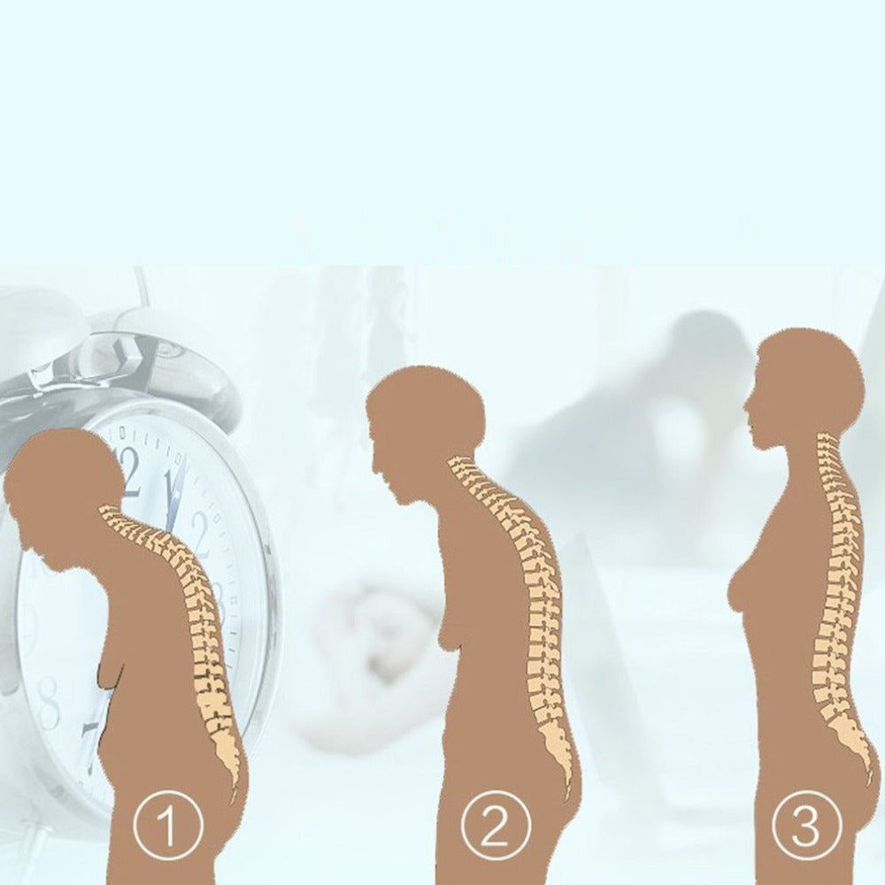 BackAlign Spine Posture Corrector