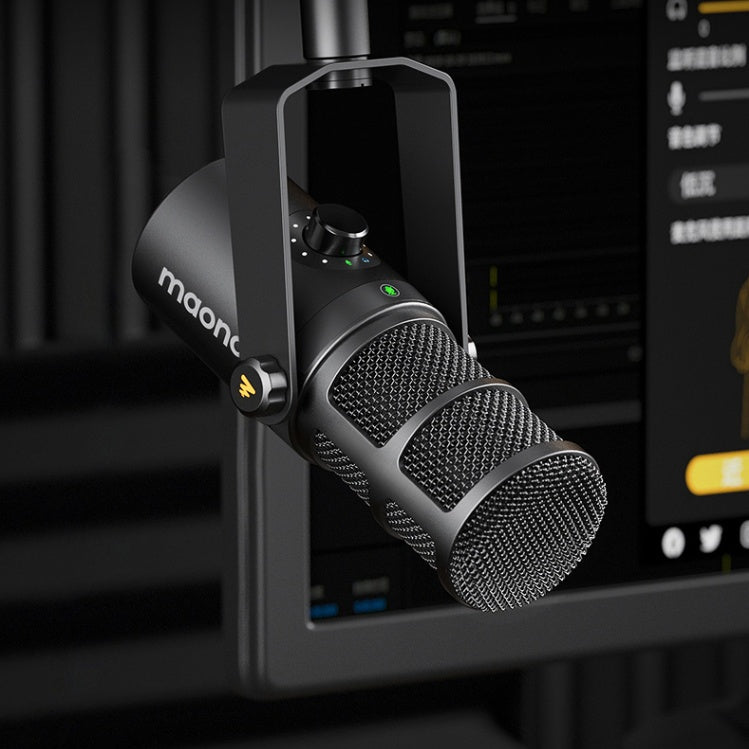 Tianwang XLR Live Recording Microphone