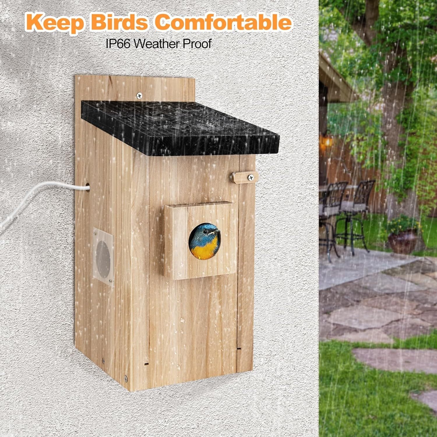 Smart Birdhouse Camera with 3MP Video