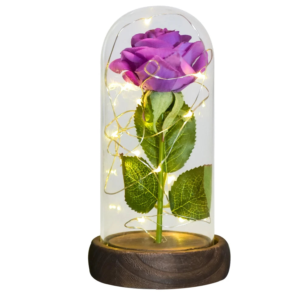 Beauty and the Beast Rose Gift Dome