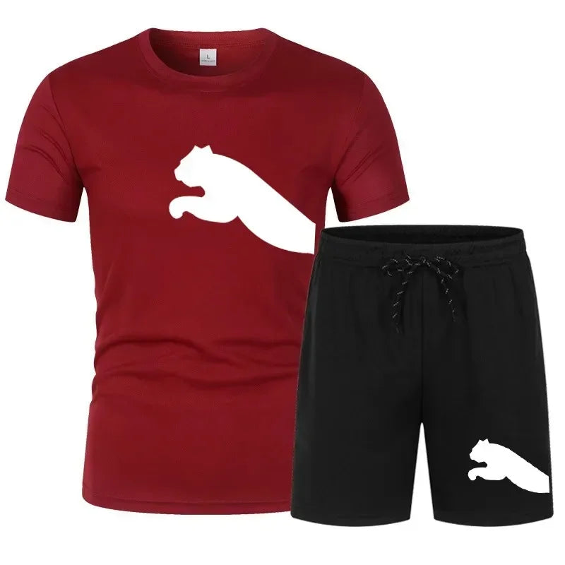 Men's Summer Quick-Dry Fitness Set