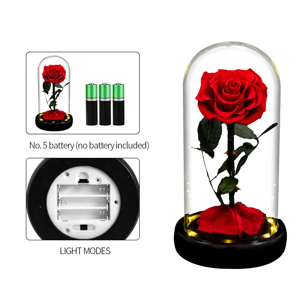 Forever Real Rose in Glass with LED Light