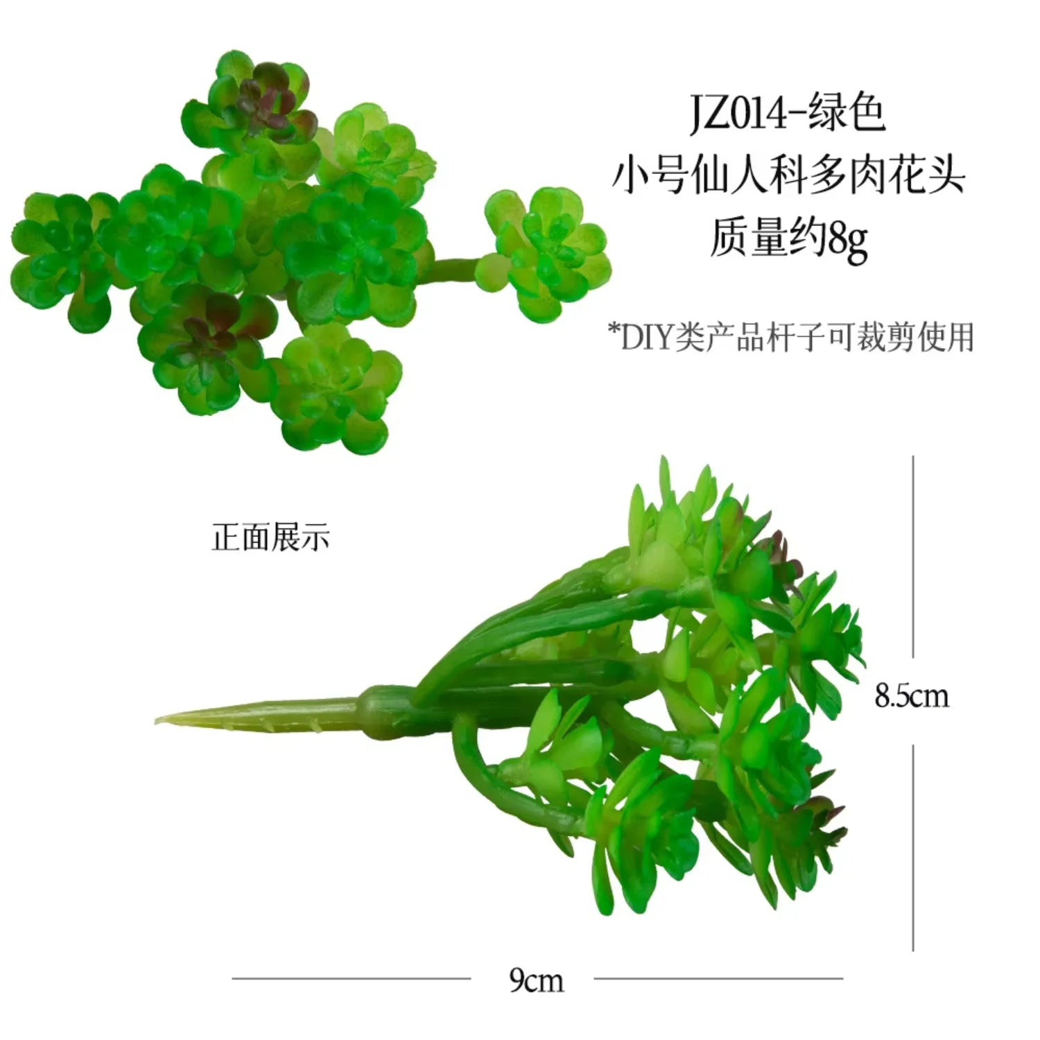 Small Real Touch Bonsai Succulent Decor