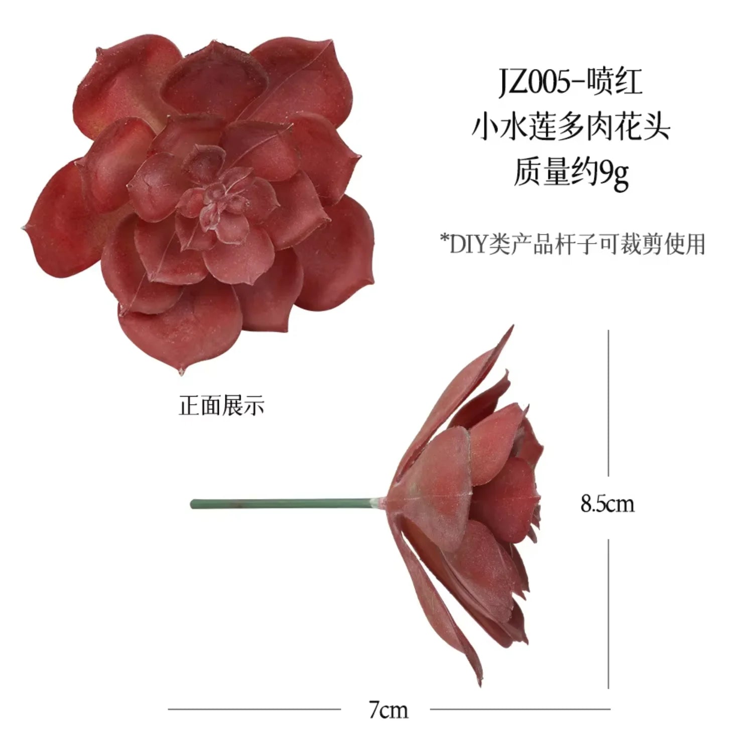 Small Real Touch Bonsai Succulent Decor