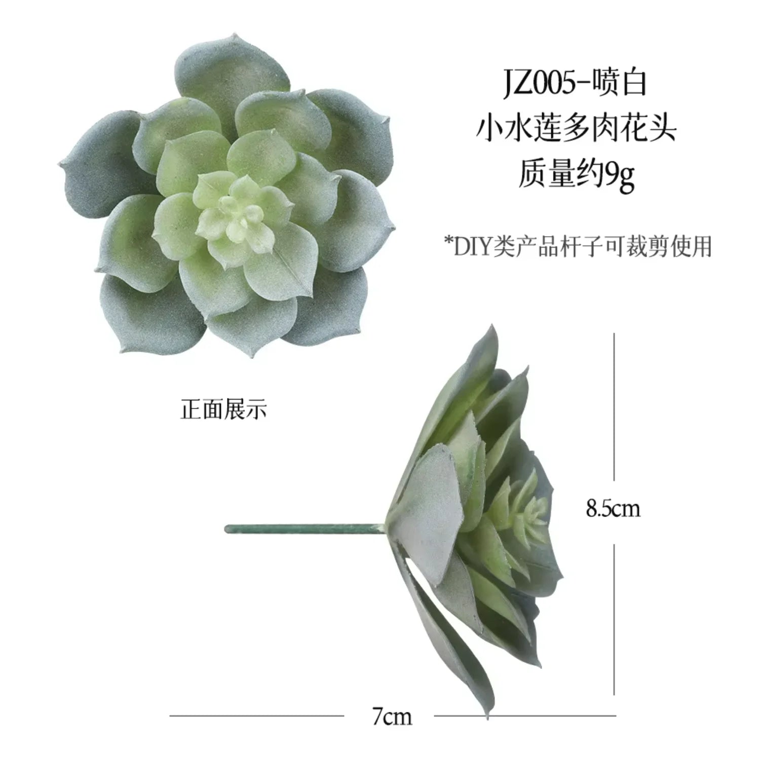 Small Real Touch Bonsai Succulent Decor