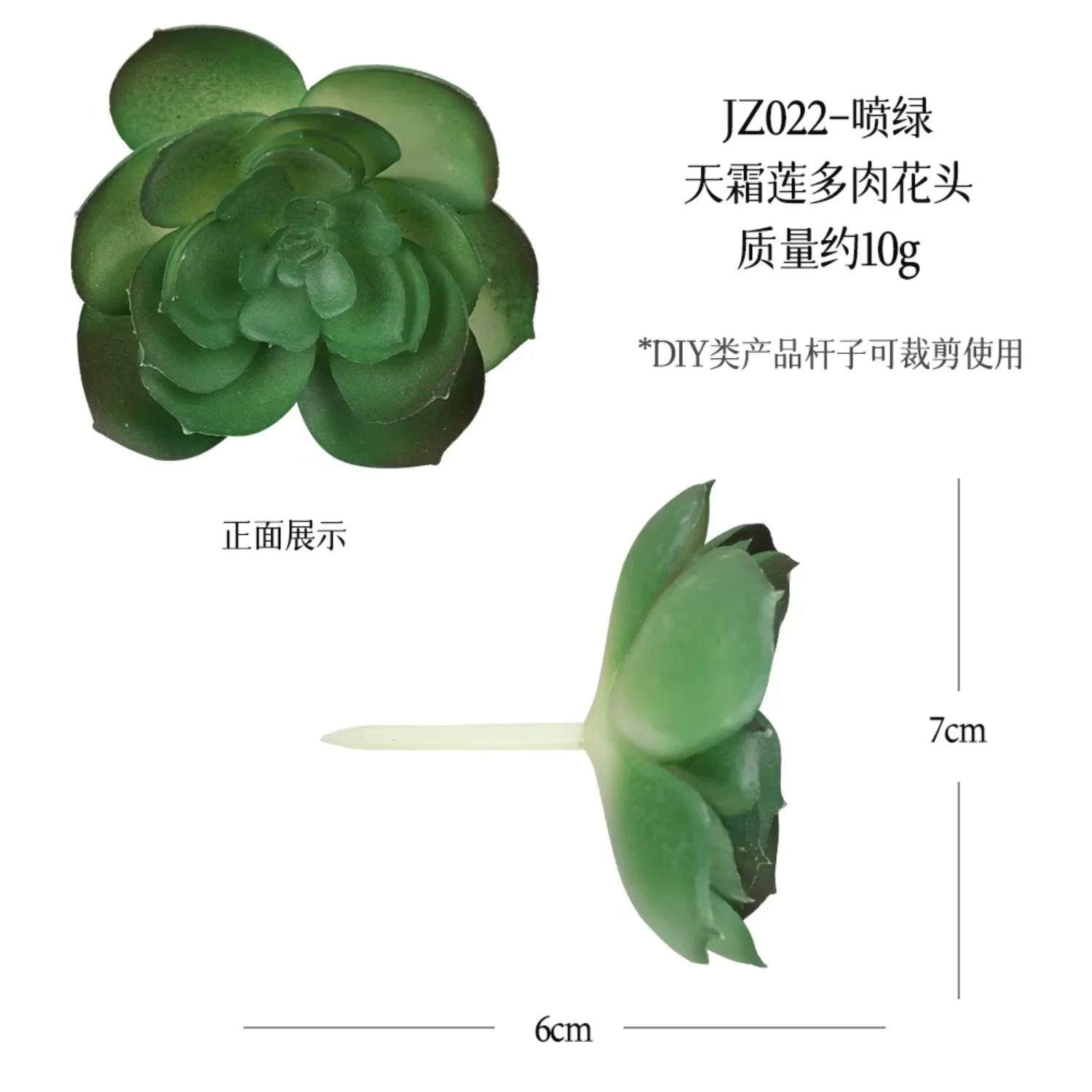 Small Real Touch Bonsai Succulent Decor