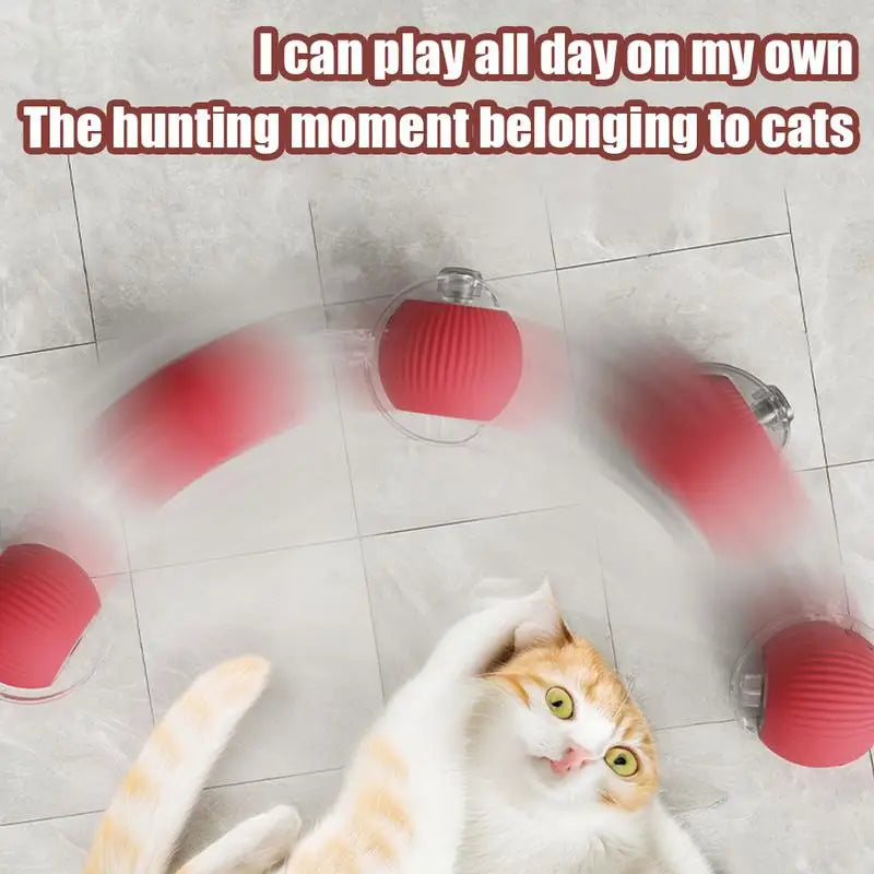 Electric Smart Rolling Cat Ball Toy