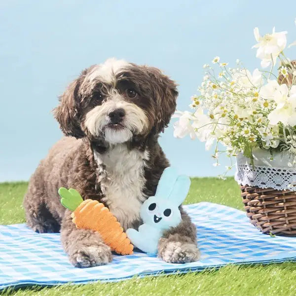 Easter Carrot Dog Plush Toy Set - 2pcs