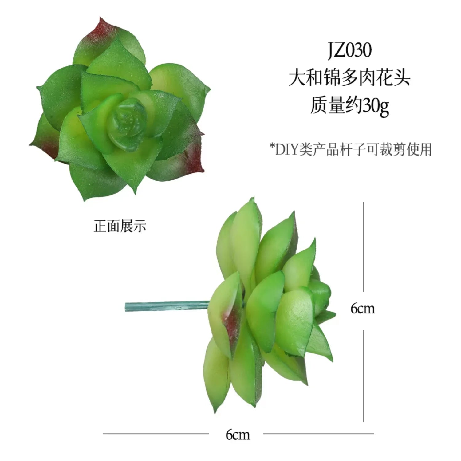 Small Real Touch Bonsai Succulent Decor