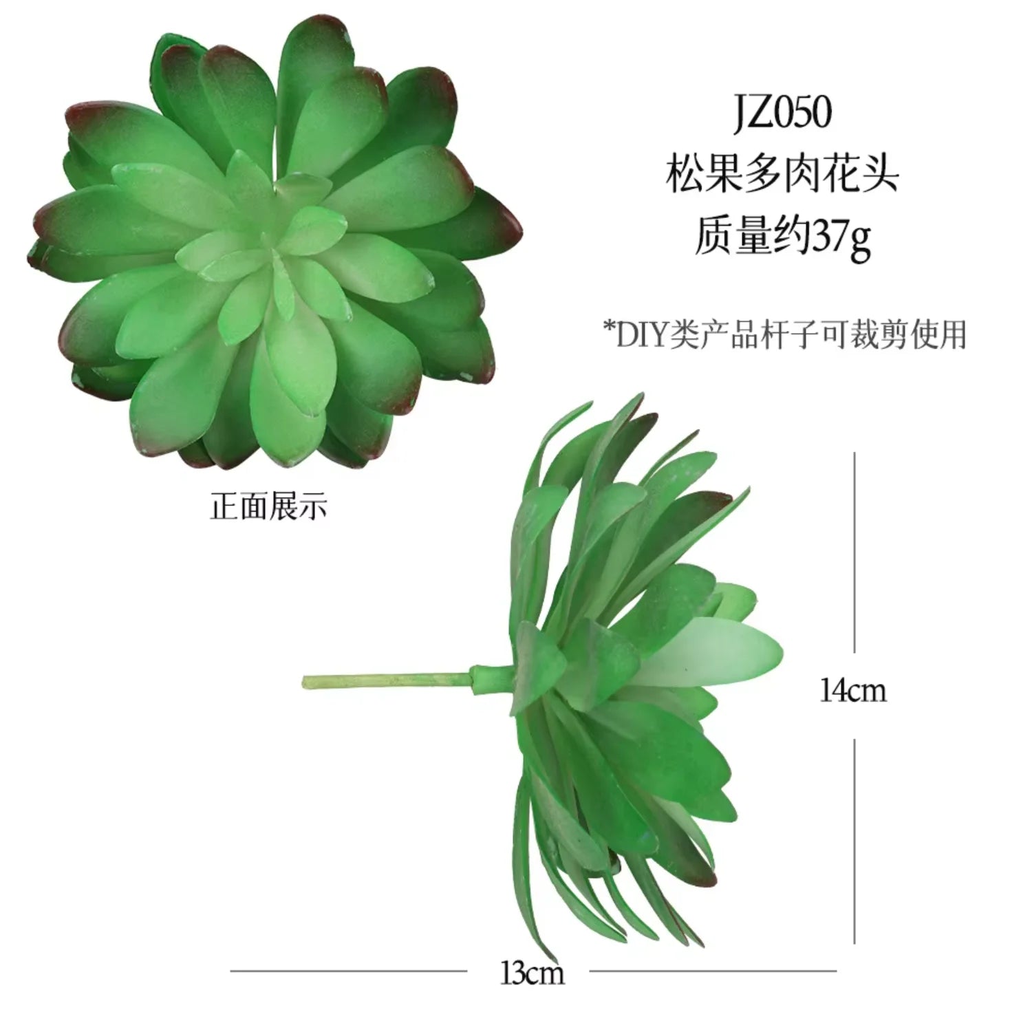 Small Real Touch Bonsai Succulent Decor