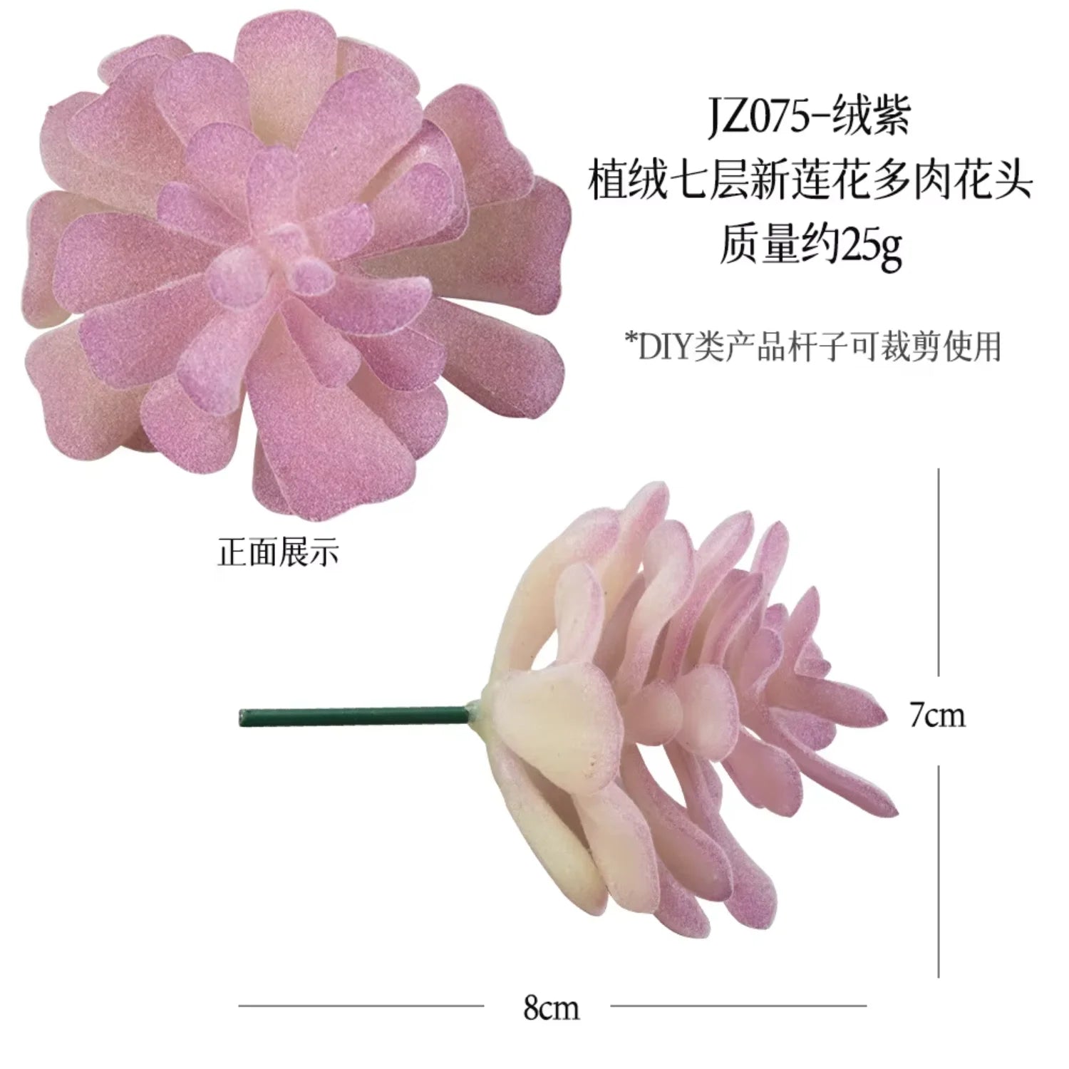 Small Real Touch Bonsai Succulent Decor