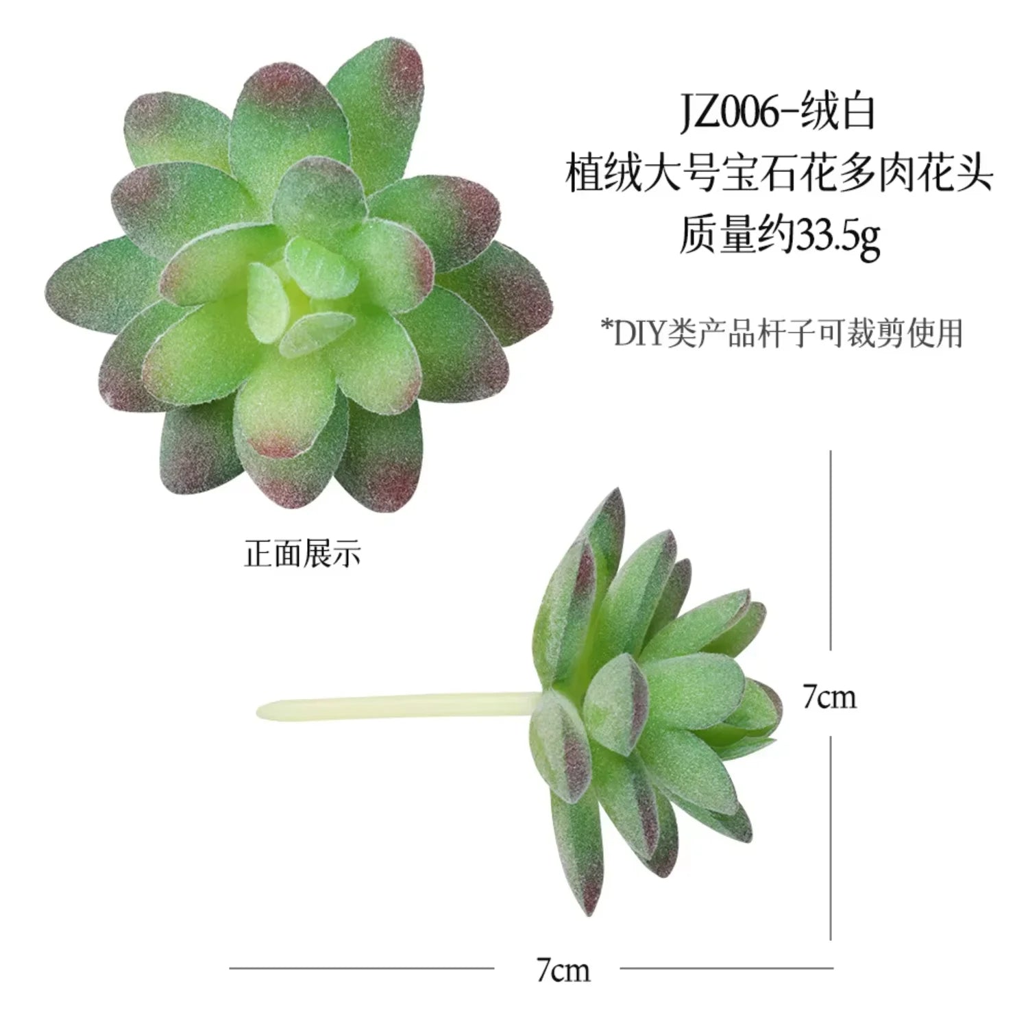 Small Real Touch Bonsai Succulent Decor