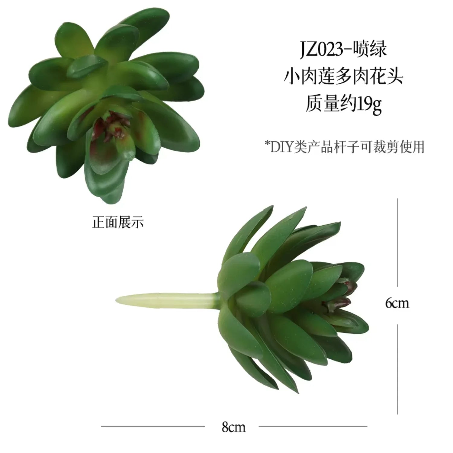 Small Real Touch Bonsai Succulent Decor