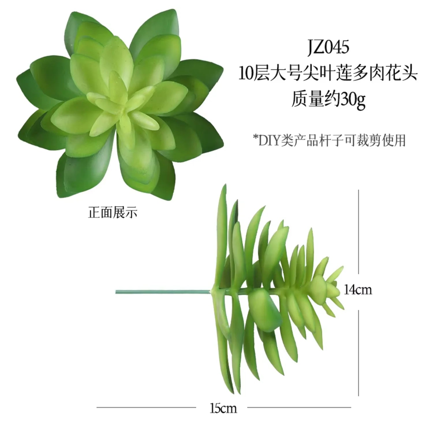 Small Real Touch Bonsai Succulent Decor