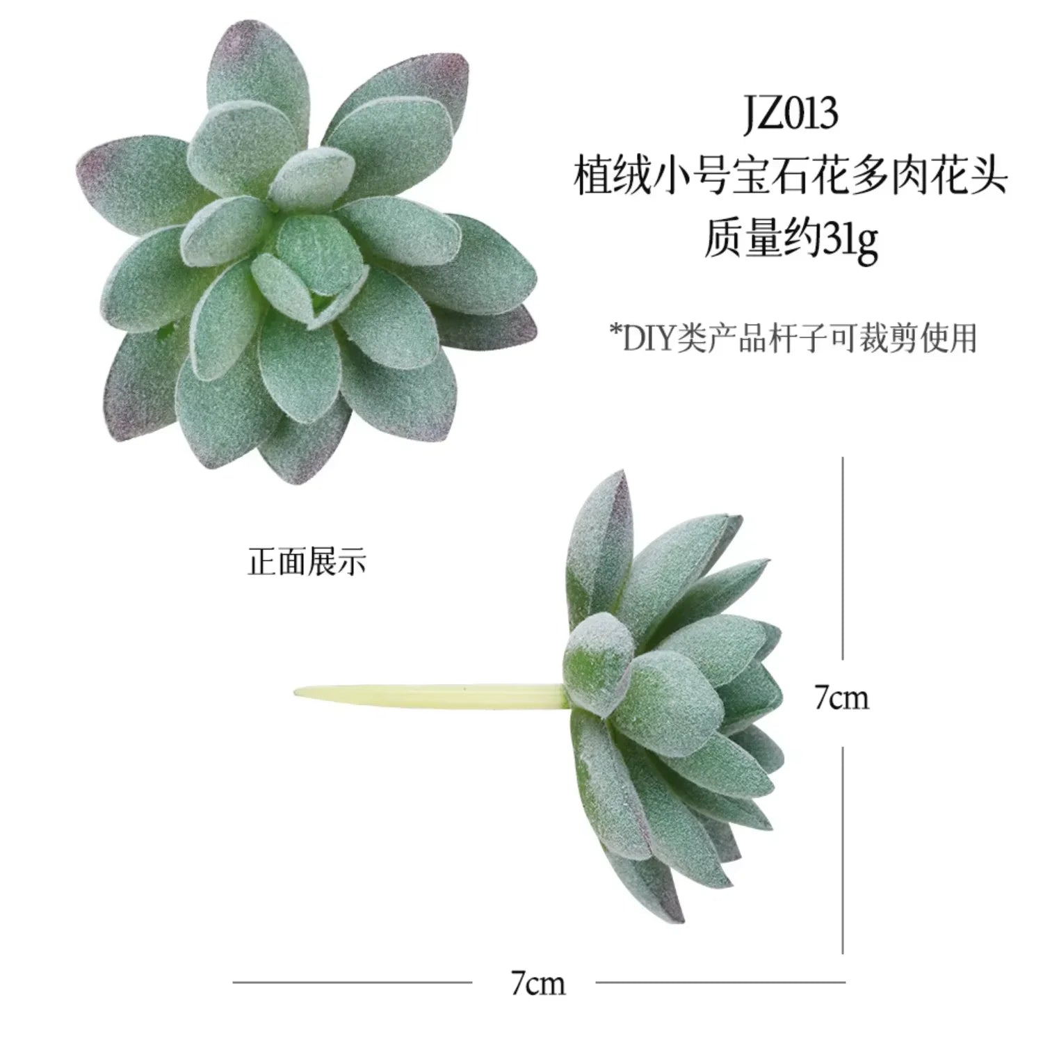 Small Real Touch Bonsai Succulent Decor