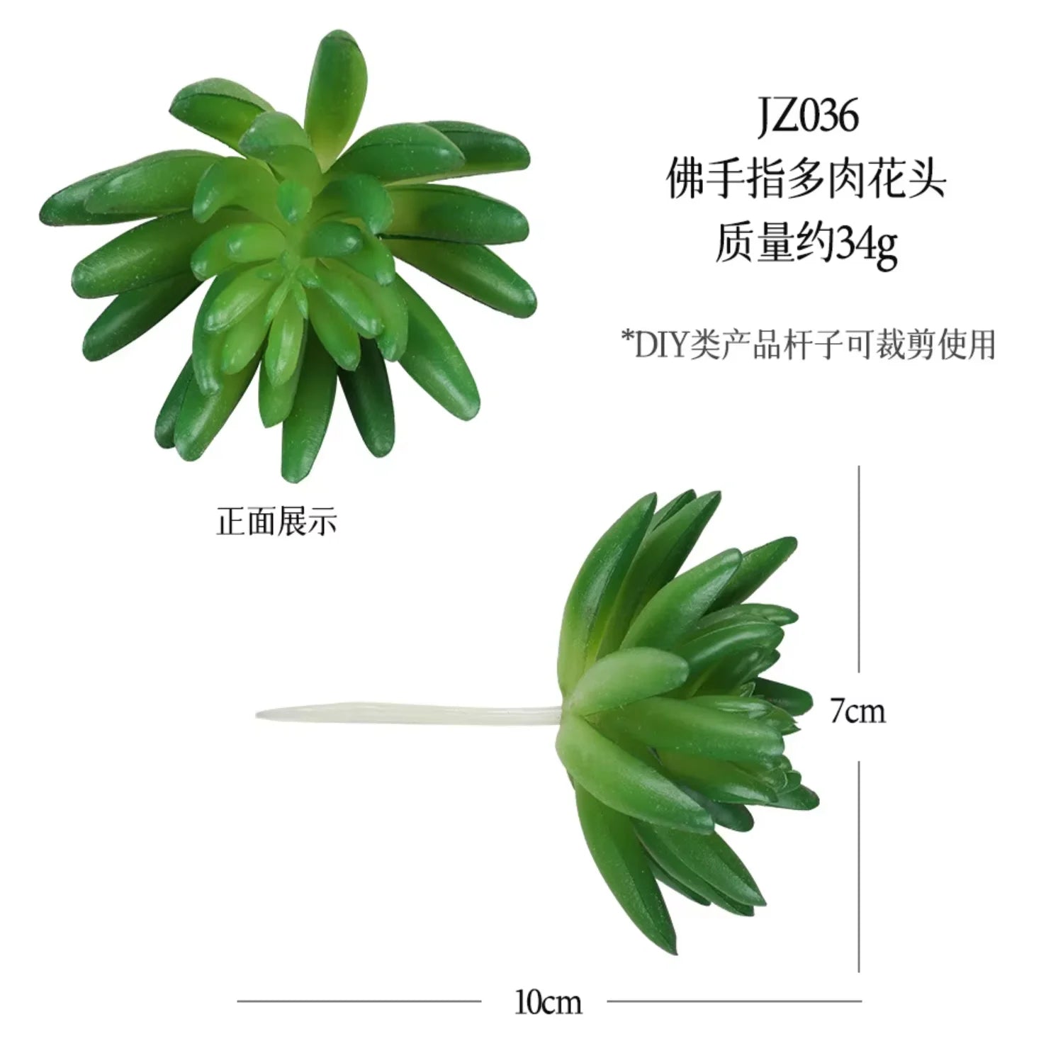 Small Real Touch Bonsai Succulent Decor