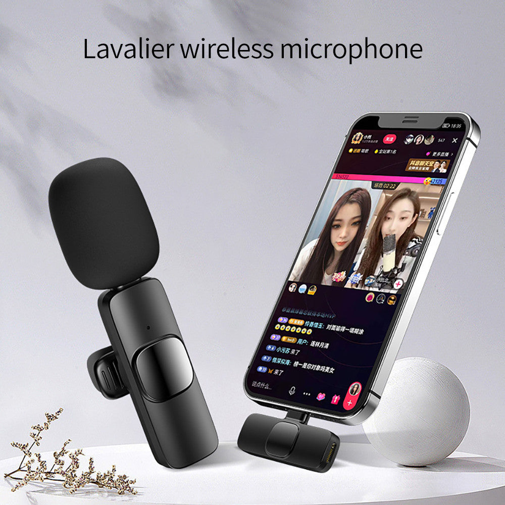 Wireless Lavalier Mic Portable Mini Mic