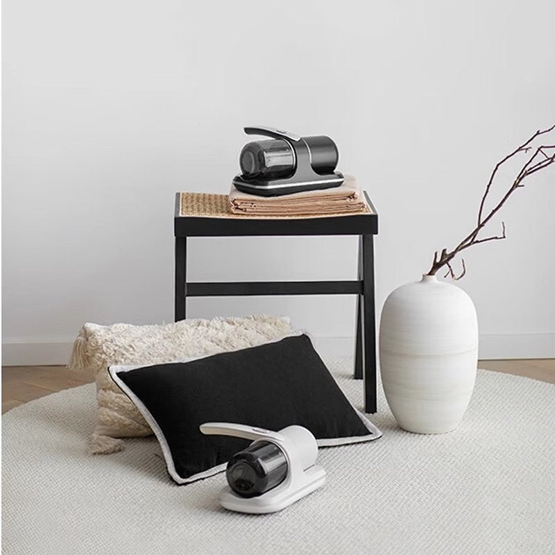 Tragbarer wiederaufladbarer Staubsauger