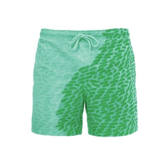 Quick Dry Color Shift Swimwear