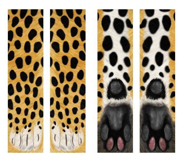 3D Cat Paw Long Socks – Unisex Fun