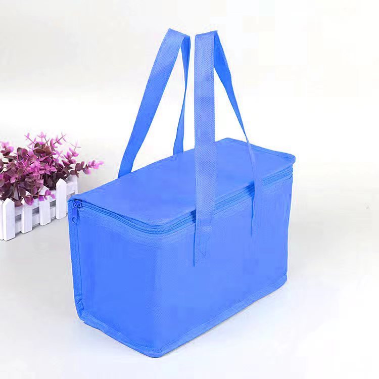 Portable Insulated Lunch & Drink Bag