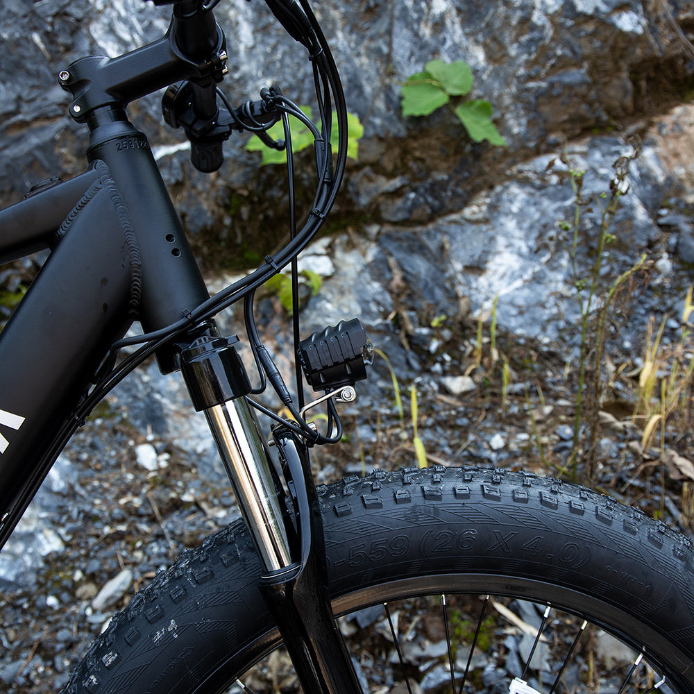 E-Mountain Bike 1000W 26x4.0 Tires