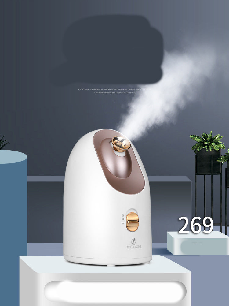 Hot & Cold Facial Steamer Machine