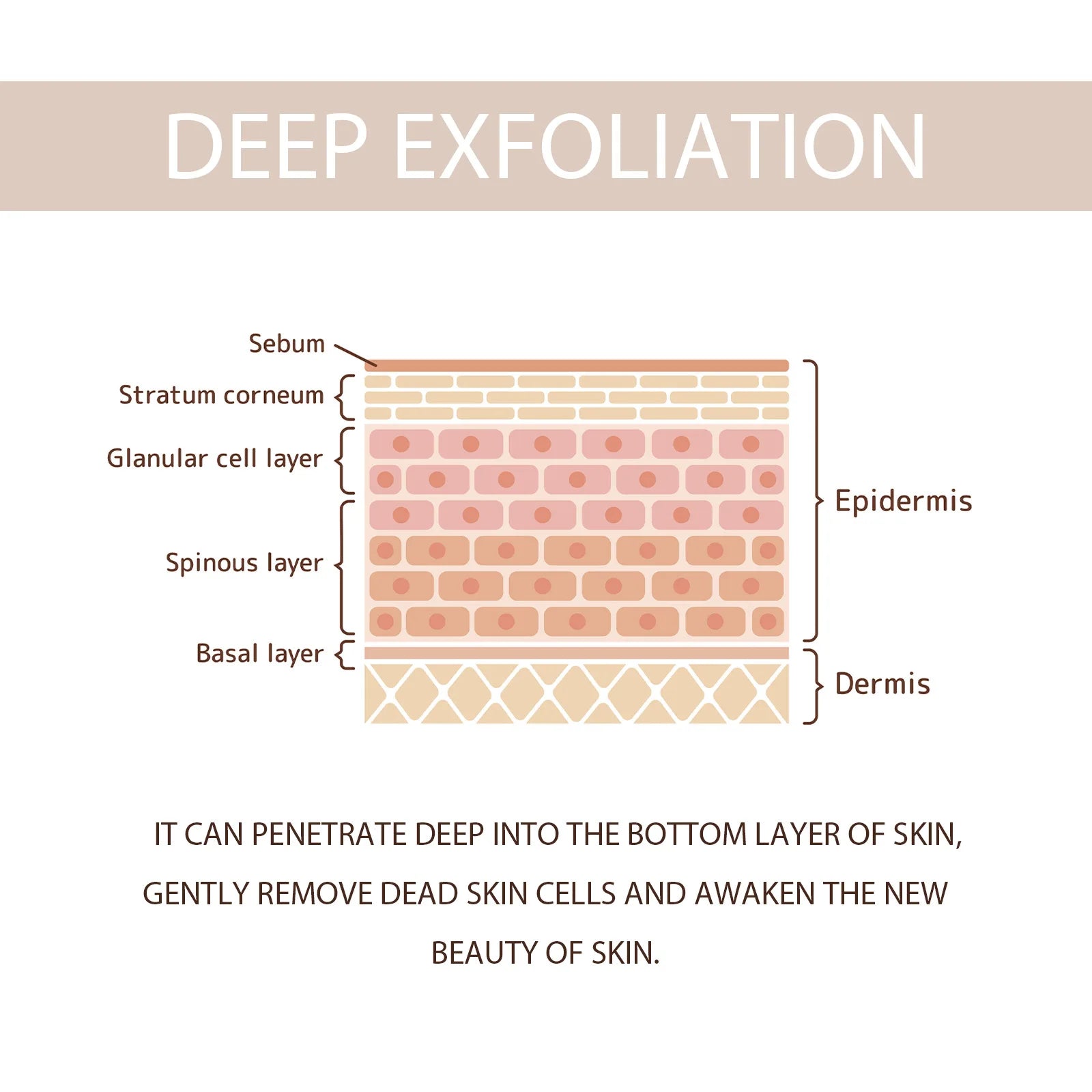 Ouhoe Exfoliate & Pore Shrink Skincare Set
