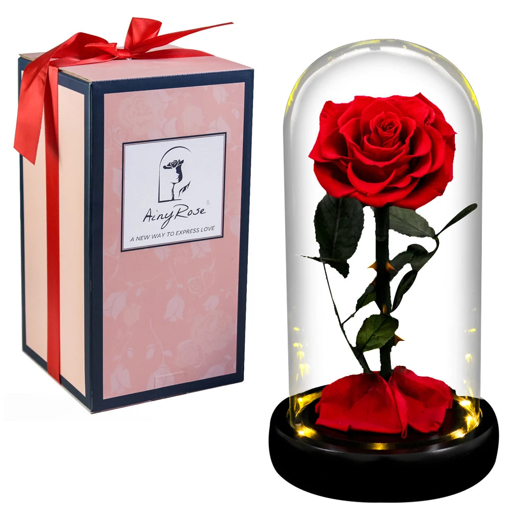 Forever Real Rose in Glass with LED Light