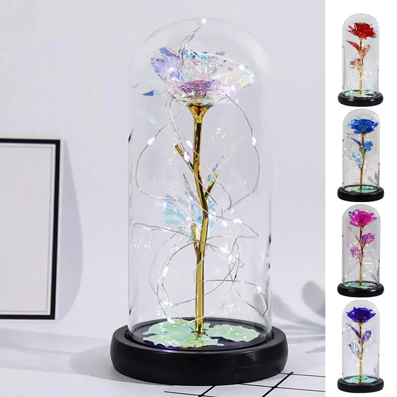 Valentine’s Eternal Rose LED Dome Gift
