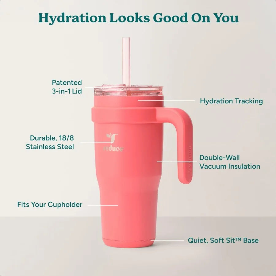 24oz Insulated Tumbler with Handle & Straw
