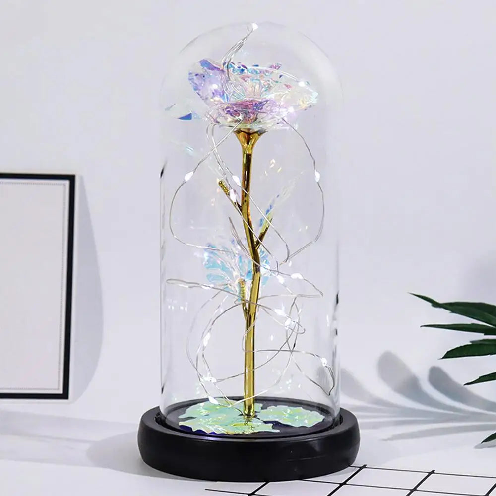 Valentine’s Eternal Rose LED Dome Gift
