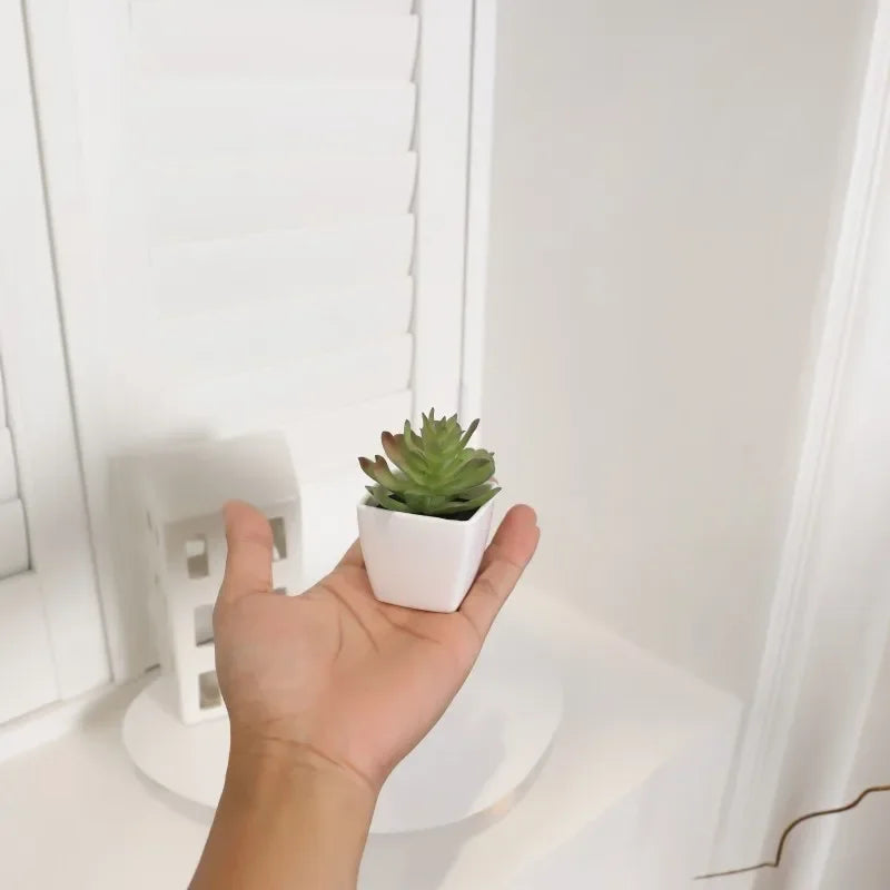 Mini Artificial Succulent Plants Set of 6
