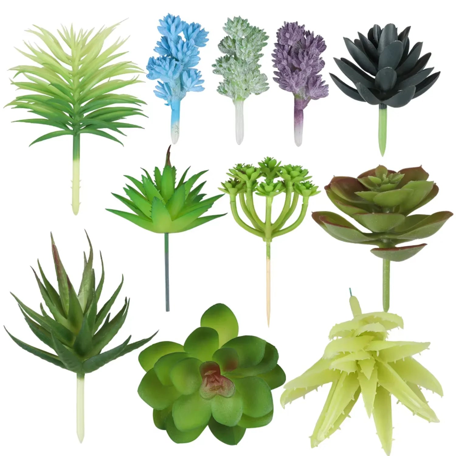 Small Real Touch Bonsai Succulent Decor