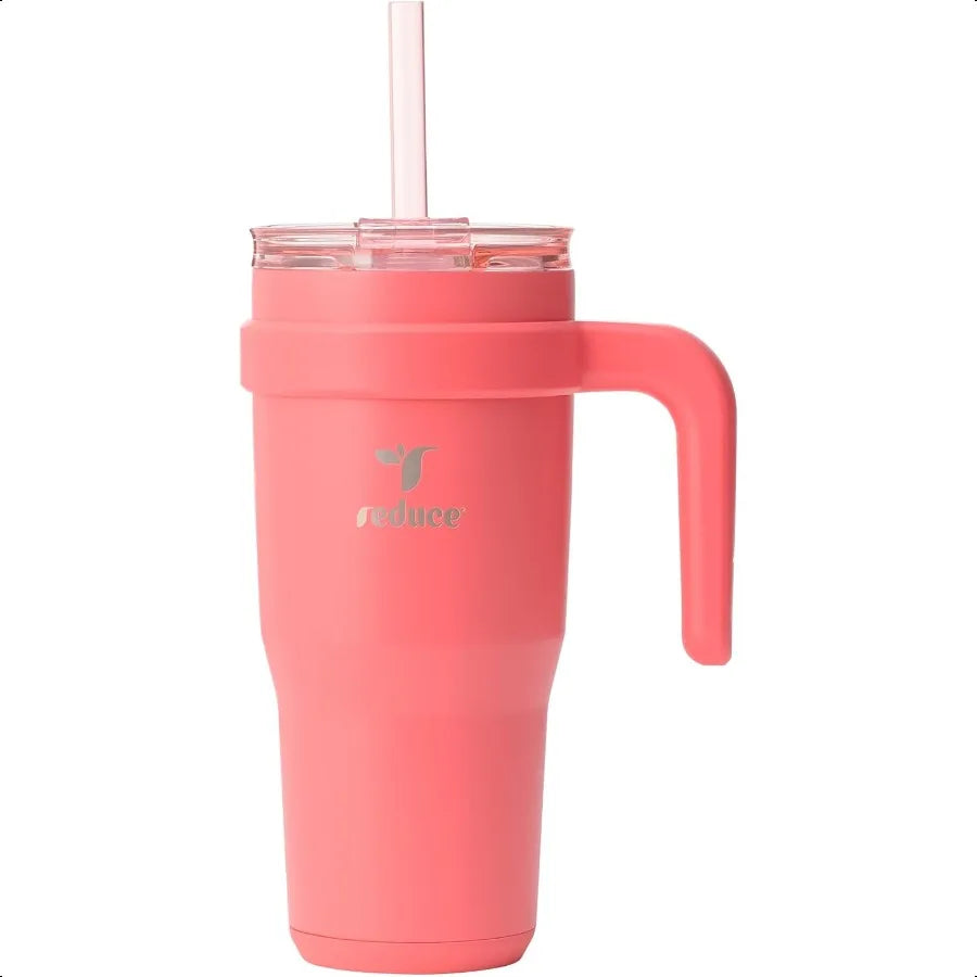 24oz Insulated Tumbler with Handle & Straw