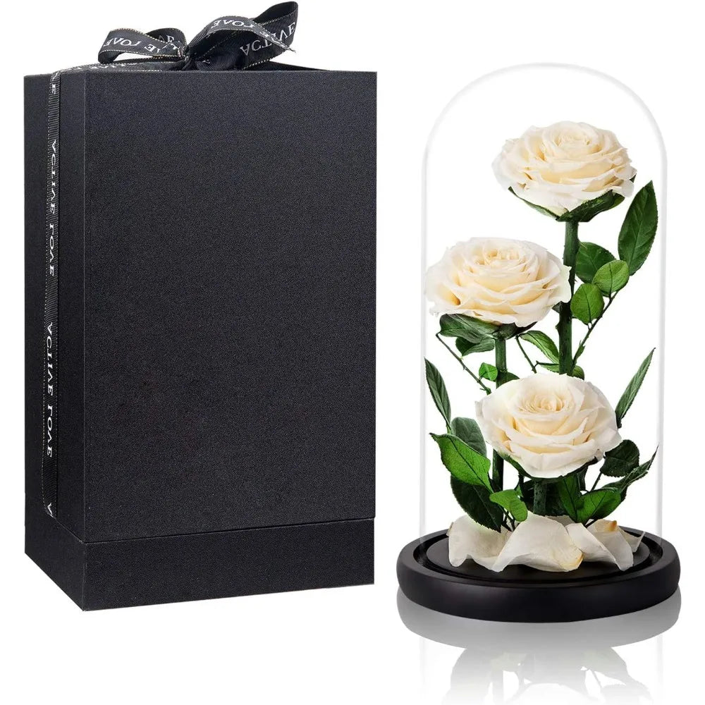 White Preserved Rose in Glass Dome