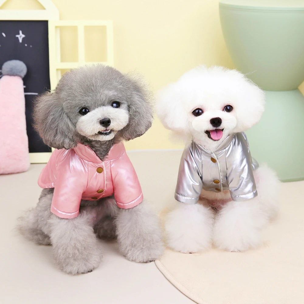 Glossy Winter Coat for Small Dogs