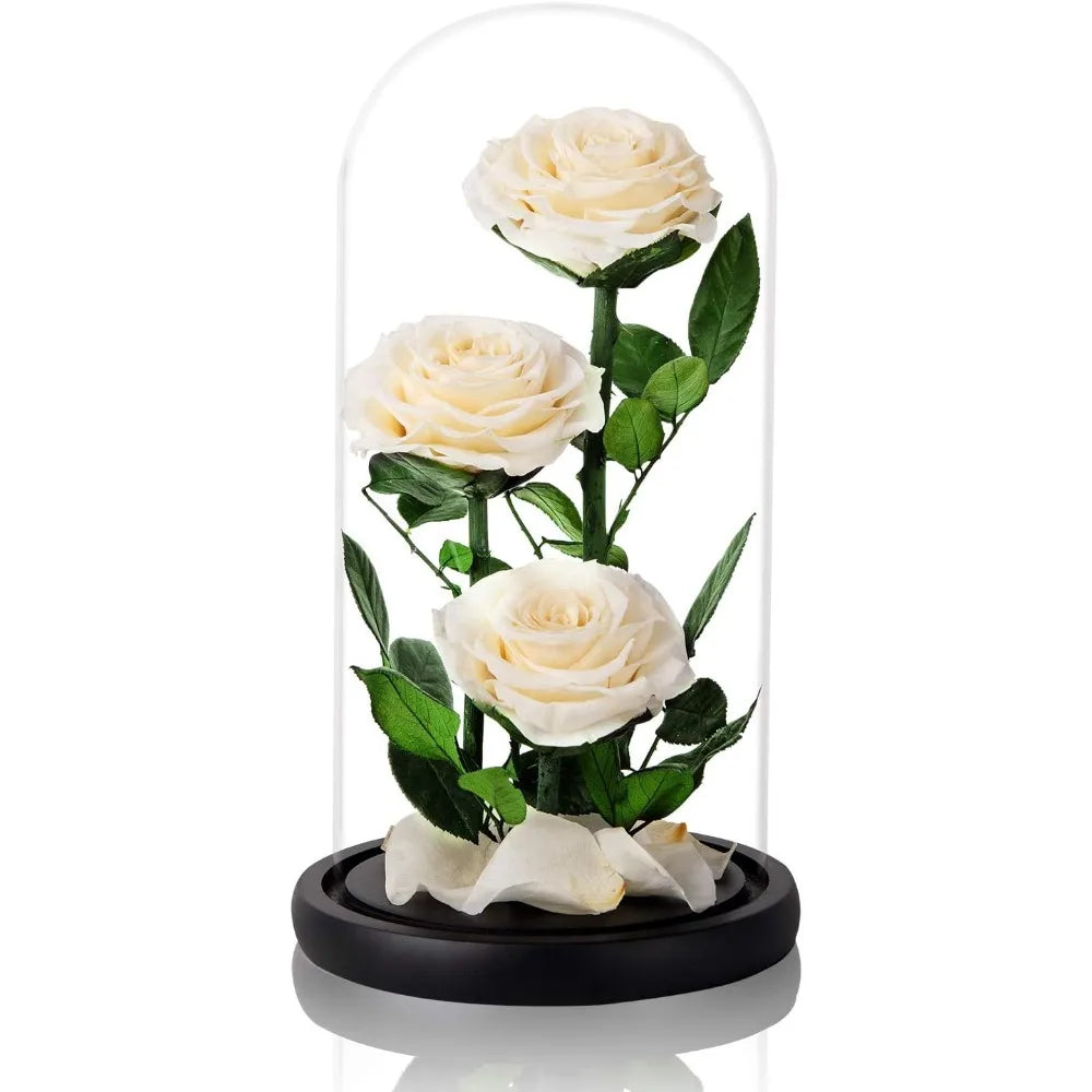 White Preserved Rose in Glass Dome