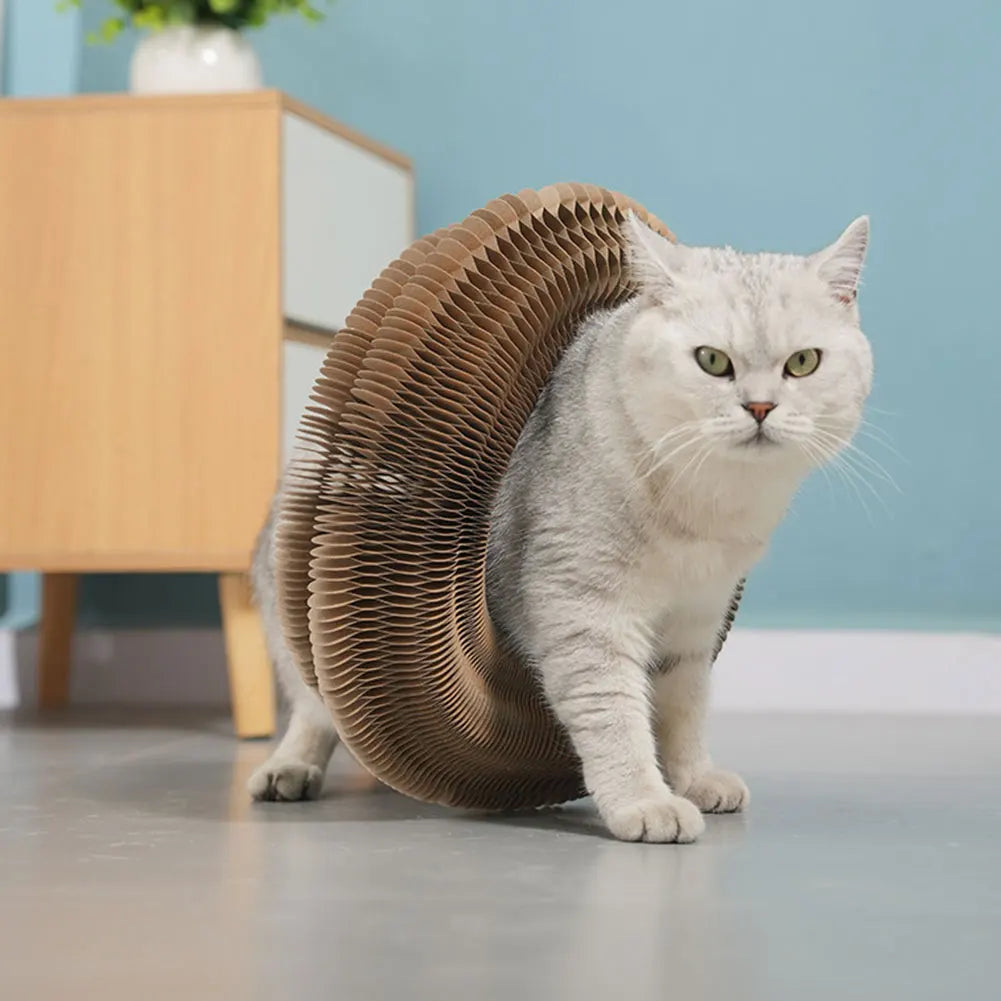Magic Organ Foldable Cat Scratcher Toy