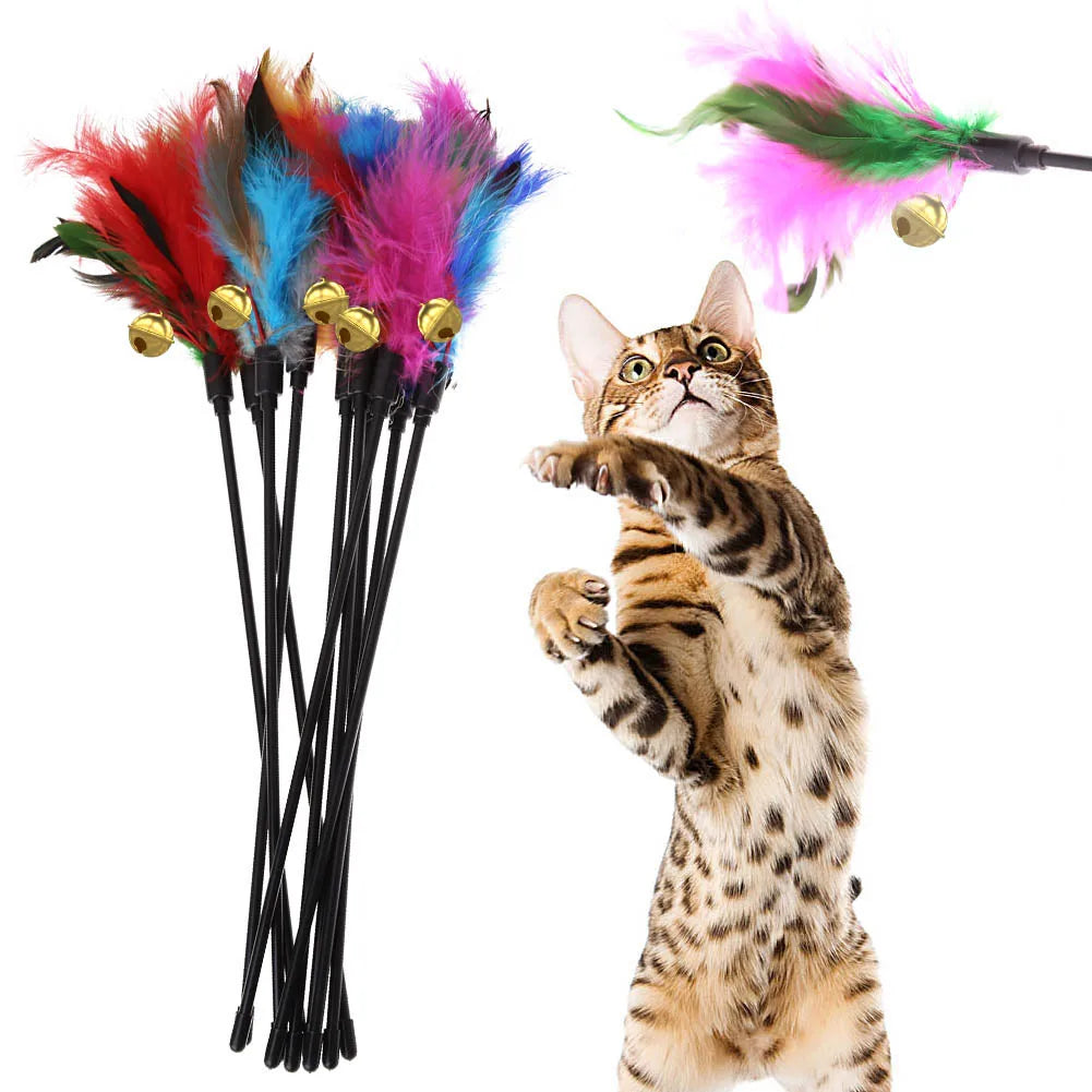 Caterpillar Motion Cat Toy with Tail