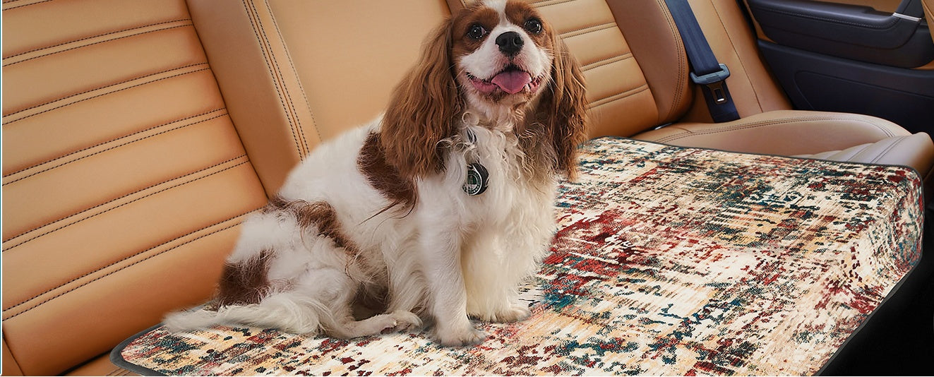 Qeils Washable Reusable Dog Pee Pads