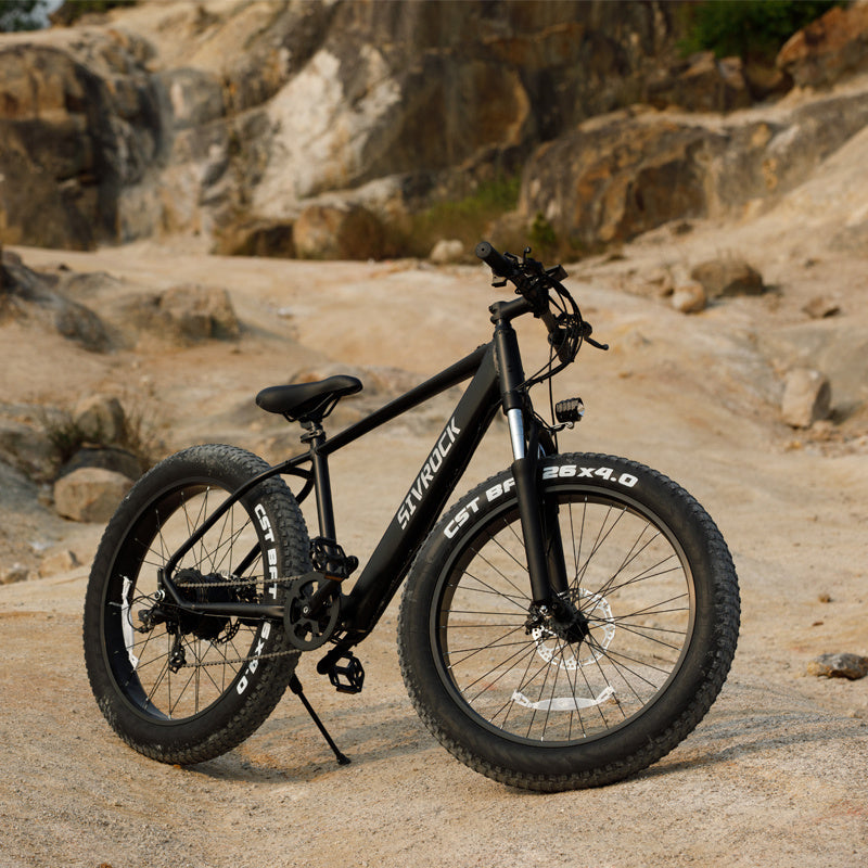 VTT électrique 1000 W – 48 V, pneus 26 x 4,0 