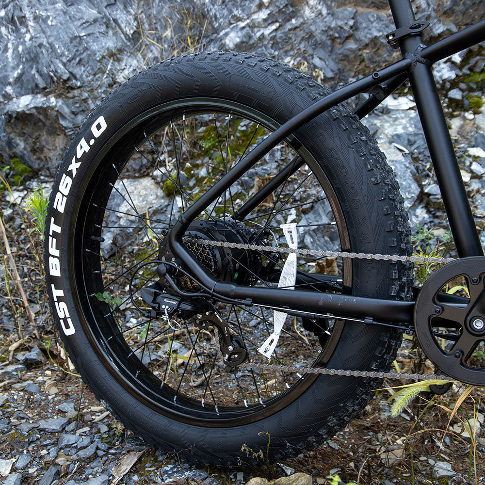 VTT électrique 1000 W – 48 V, pneus 26 x 4,0 